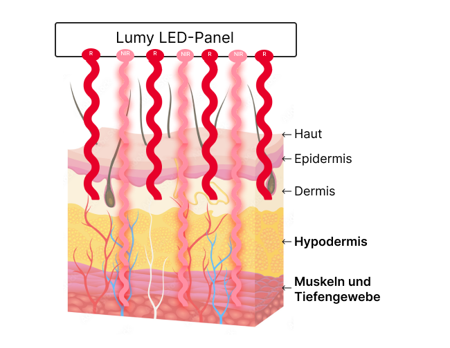 Nahinfrarotstrahlen